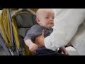 Baby Style Oyster Zero Gravity vežimėlis | garstyčių spalvos