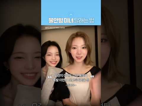 불안형 미녀 달래기의 정석