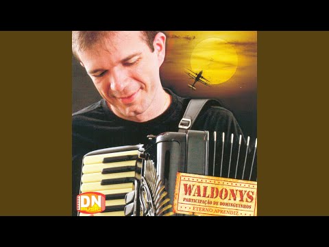 Até Mais Ver - Waldonys