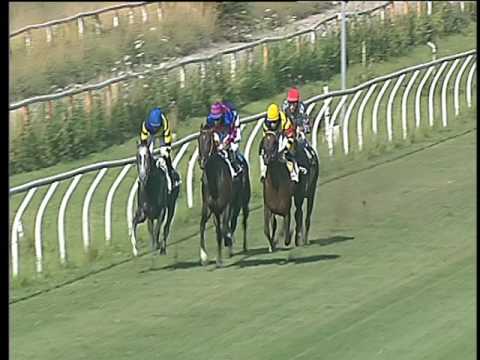 Galoppo 23/06/2017 - 3ª corsa