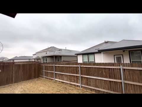 Frozen weather in Georgetown Texas 01.31.2023