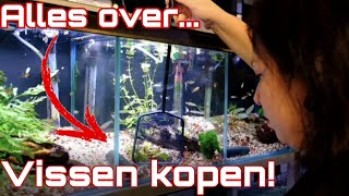 Waarop letten met VISSEN KOPEN? Zo koop je geen zieke vissen! //Nickey//