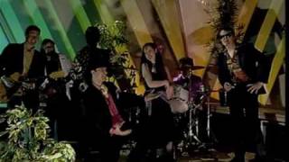 The Tall Shirts - "Kill the Pig"