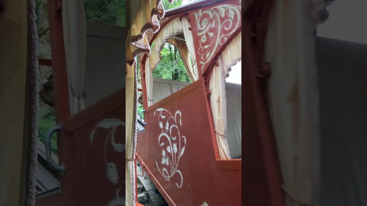 YouTube Short thumbnail