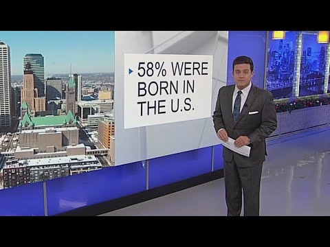 Somali population statistics in Minnesota