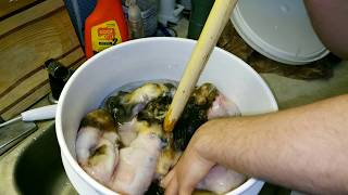 Tanning Hides For The FIrst Time Pt. 1 -- Soaking in Alum and Salt Pickle