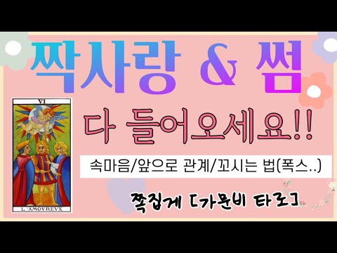 [타로] 짝사랑,썸 다 들어오세요 !! 연애합시다🌸  #연애운 #타로 #속마음