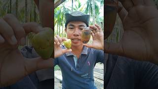 Download lagu Ini dia bentuk isi dalam kelapa kecil #kelapa #petanimuda #pohonkelapa mp3 Download lagu Ini dia bentuk isi dalam kelapa kecil #kelapa #petanimuda #pohonkelapa mp3