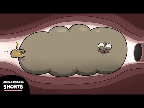 KISAH TAI PALING GEDEEEEEEE