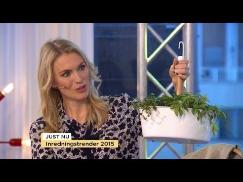 Hetaste modetrenderna 2015 - Nyhetsmorgon (TV4)