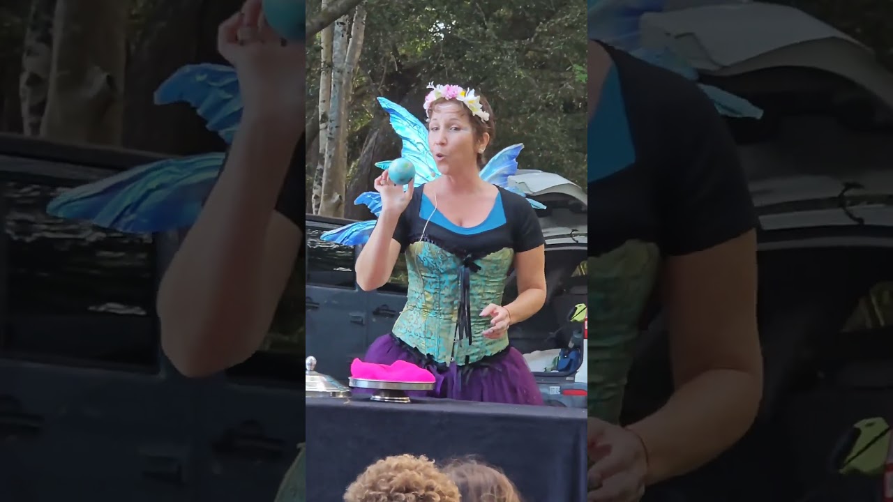 Promotional video thumbnail 3 for Fairy Magic