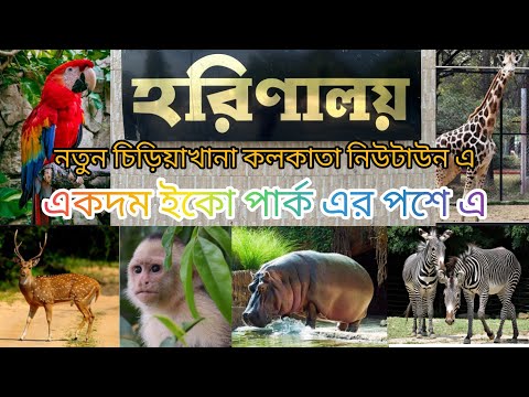 Harinalaya Deer Park Zoo In New Town |Harinalaya Zoo In Kolkata | Harinalaya Zoo | #bengalivlog