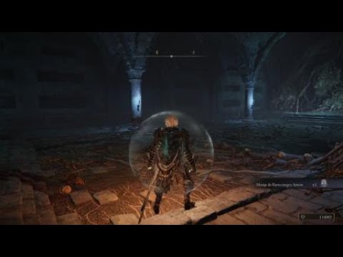 ELDEN RING™ Mimic tear +10 vs Lost Mimic tear ultimate showdown