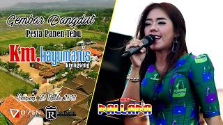 Download lagu Hujan Gerimis - Devi Aldiva - New Pallapa Live PT  Kayu Manis Krengseng mp3 Download lagu Hujan Gerimis - Devi Aldiva - New Pallapa Live PT  Kayu Manis Krengseng mp3