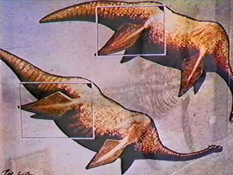 NOVA: The Beast of Loch Ness (1998) | Science vs. Mystery in the Scottish Depths 🐉🌊