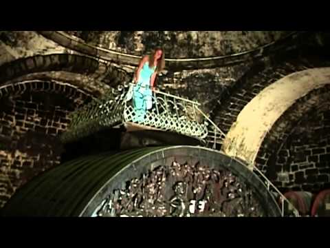 Saale-Unstrut - German wine-growing region