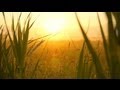 Relaxing Instrumental Music - slow soft peaceful ...