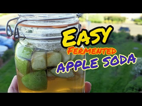 EASY FERMENTED APPLE SODA ( Best Homemade beverage 🍻)