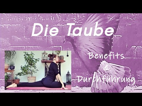 Die liegende Taube | Tutorial