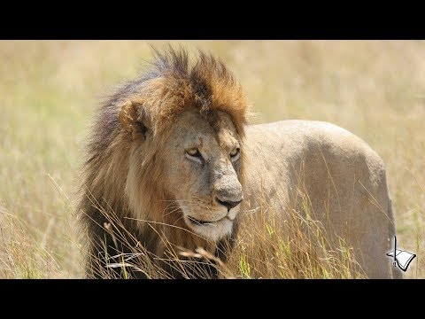 2020-0426AM - The Rapture_65-1204