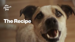 The Farmer's Dog The Farmer's Dog Commercial: The Recipe