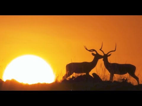 Locomondo - Ουρανός | Locomondo - Ouranos