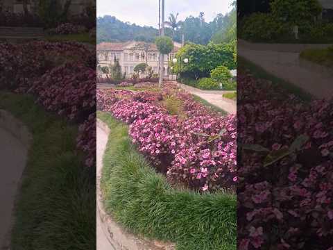 Lindo Jardim na praça Augusto Ruschi em Santa Teresa E.S  #flores #espiritosanto #natureza