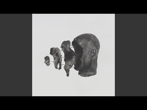 The Sense of Dust and Sheer