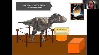 Ecosystem Jenga: What Tiny Fossils Tell Us About a Massive Extinction