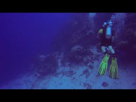 I got Narc'd | Diving punta sur Cozumel | nitrogen narcosis