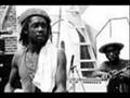 Peter Tosh - In My Song