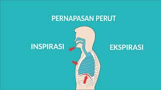 Download lagu ANIMASI SEDERHANA SISTEM PERNAPASAN MANUSIA mp3 Download lagu ANIMASI SEDERHANA SISTEM PERNAPASAN MANUSIA mp3