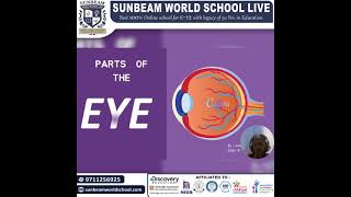 Amruta, our brilliant grader 8th, Sunbeam World School student.