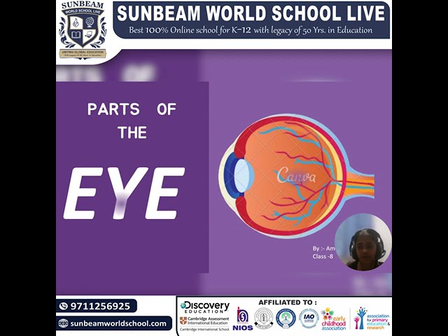Amruta, our brilliant grader 8th, Sunbeam World School student.