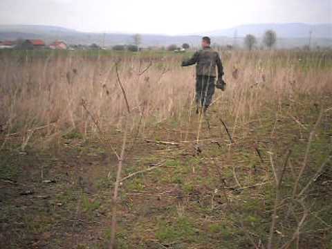 Nedeljno popodne-trening kerova, lovci Prcilovica 1