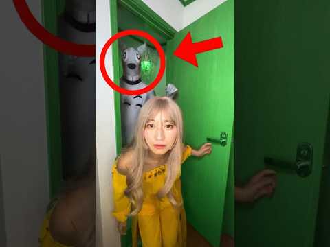 【心が汚れた人には見えない】となりのトトロ？Funny videos #shorts MY Neighbor TOTORO #happydojo