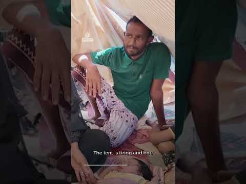 Families fleeing Yemen's war face displacement, hunger and water shortages
