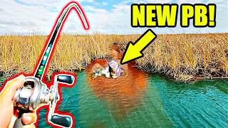 I Accidentally Caught my Personal Best from this LOADED Backwater Drain!
