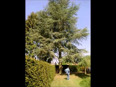 Buitenverblijf met visvijver