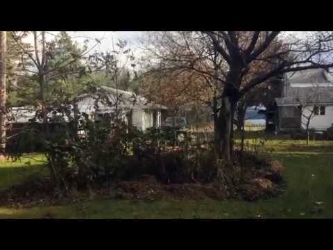 Polycultures and Guilds 7 - The Grandma Cherry