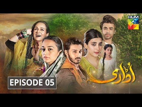 Udaari Episode 5 HUM TV Drama