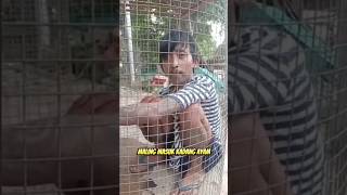 Download lagu funny thing is that the thief was caught by residents mp3 Download lagu funny thing is that the thief was caught by residents mp3