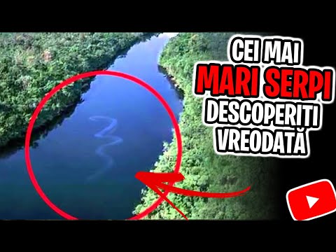 11 Cei Mai Uriasi SERPI Din Lume