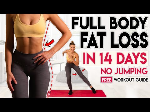 FULL BODY FAT LOSS in 14 Days NO JUMPING | Free Home Workout Guide