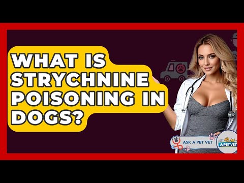 What Is Strychnine Poisoning In Dogs? - Ask A Pet Vet