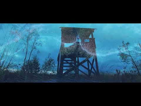 Nocleg na dziko Jezioro Lipno, las i opieńki | Wyprawy z namiotem Kaszuby