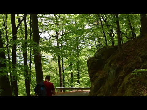 Ep 51 Parcul Național Domogled Valea Cernei și Cascada Vânturatoarea