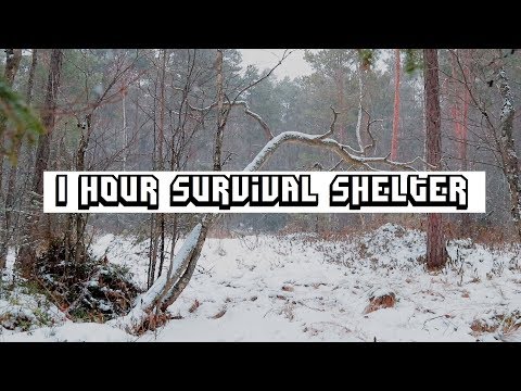 Winter survival shelter - no tools - bare hands - 1 hour Wikiup