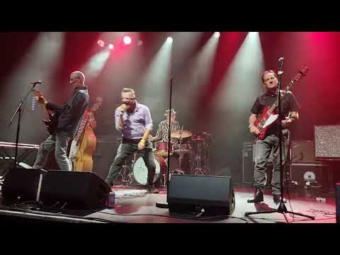 The Stingrays live by Cathimini ( London - Koko)