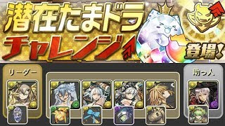 [잠재 타마도라 챌린지] Lv.1~4, 환생 초선×카린 다크 컬러 pt.